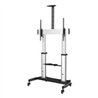 SOPORTE MOVIL PARA TV - CARRO UNIVERSAL DE ALTA RESISTENCIA PARA TV DE 60-100 - STAND CON RUEDAS Y ALTURA AJUSTABLE - STARTECH.C