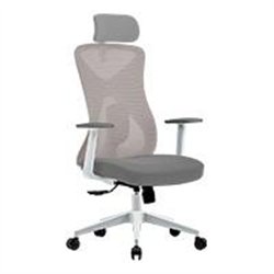 SILLA ERGONOMICA ACTECK FLOE PRO EC737 / INCLINACION 35 GRADOS / MARIPOSA CLASE 4 / MAX 120 KG / PISTON CLASE 4 / REPOSABRAZOS F