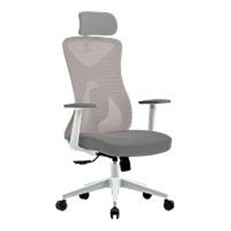 SILLA ERGONOMICA ACTECK FLOE PRO EC737 / INCLINACION 35 GRADOS / MARIPOSA CLASE 4 / MAX 120 KG / PISTON CLASE 4 / REPOSABRAZOS F