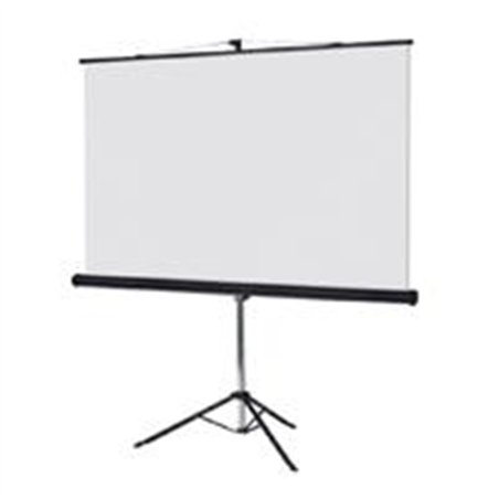 PANTALLA PROYECCION DE TRIPIE MULTIMEDIA SCREEN MST-246, 137 PULGADAS DIAGONAL, MEDIDA 246 CM X 246 CM, FORMATO 1:1, COLOR BLANC