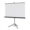 PANTALLA PROYECCION DE TRIPIE MULTIMEDIA SCREEN MST-246, 137 PULGADAS DIAGONAL, MEDIDA 246 CM X 246 CM, FORMATO 1:1, COLOR BLANC