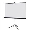 PANTALLA PROYECCION DE TRIPIE MULTIMEDIA SCREEN MST-216, 120 PULGADAS DIAGONAL, MEDIDA 216 CM X 216 CM, FORMATO 1:1, COLOR BLANC