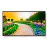 MONITOR PROFESIONAL NEC DE 43 M431 UHD 3840 X 2160 24/7, 500 CD/M2, 8000:1, HDMI, DISPLAYPORT HDCP, USB, RJ-45, INTEL SDM Y RPI4