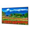 MONITOR PROFESIONAL DE 75 NEC M751 UHD 3840 X 2160 24/7, 500 CD/M2 COMPATIBLE CON INTEL SDM Y RPI COMPUTE MODULE 4, VERTICAL/HOR