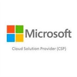 MICROSOFT CSP PROJECT PLAN 3 - ANUAL