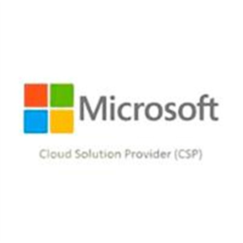 MICROSOFT CSP EXCHANGE SERVER STANDARD 2019 USER CAL COMMERCIAL PERPETUA
