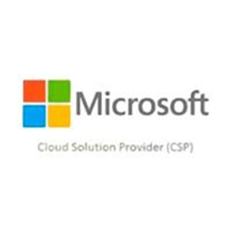 MICROSOFT CSP EXCHANGE SERVER STANDARD 2019 USER CAL COMMERCIAL PERPETUA